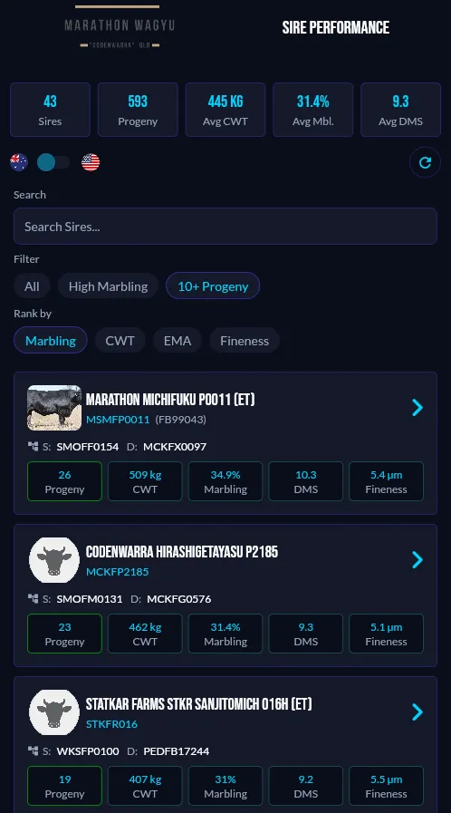 Marathon Wagyu screen 1