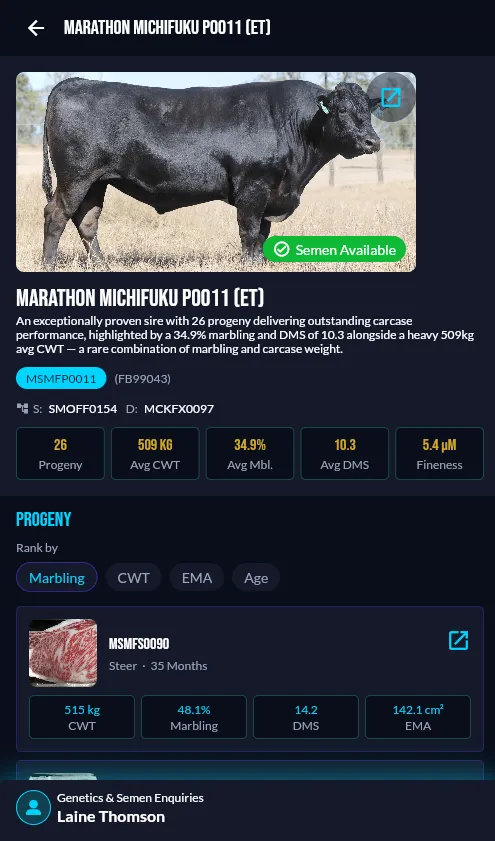 Marathon Wagyu screen 2