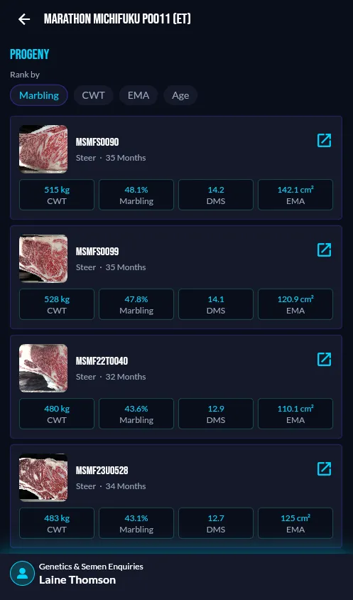 Marathon Wagyu screen 3